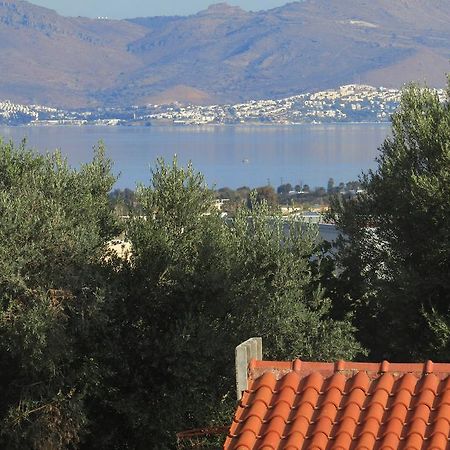 Asklipion Valley Guest House Kos-Stadt Exterior foto