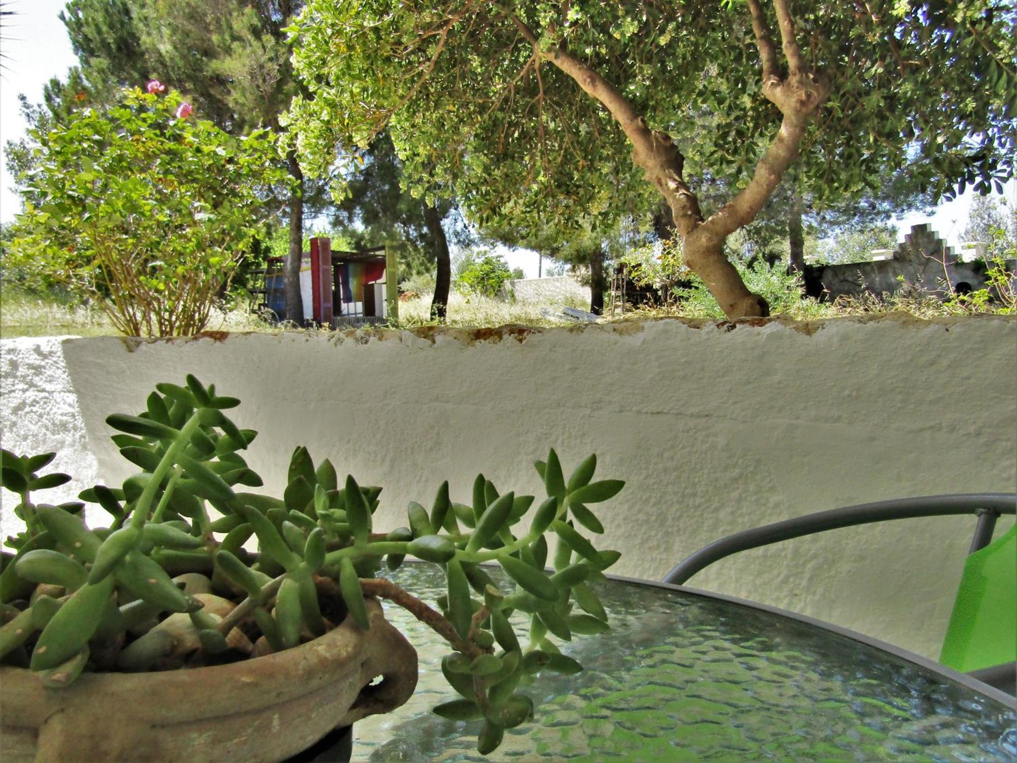 Asklipion Valley Guest House Kos-Stadt Exterior foto