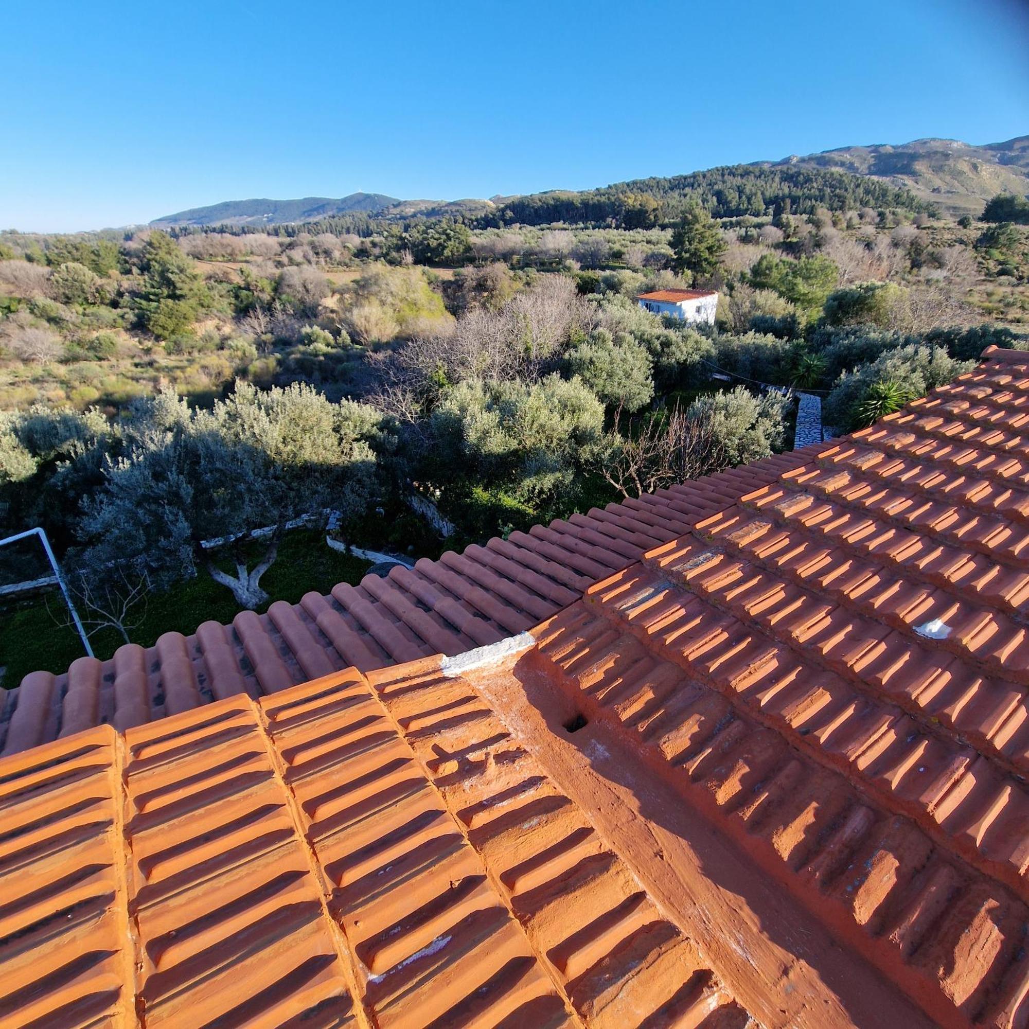 Asklipion Valley Guest House Kos-Stadt Exterior foto